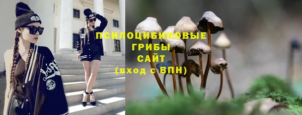 дмт Алексин