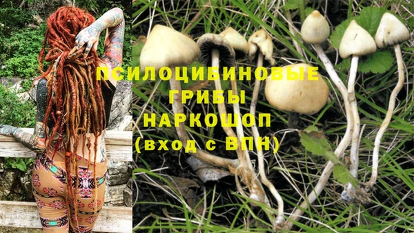 марки lsd Алзамай