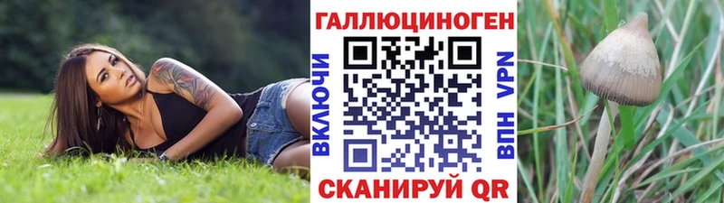Галлюциногенные грибы мухоморы  Козловка 